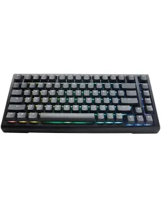 Comprar Ducky Tinker75 75% RGB Black MX Blue (ES)