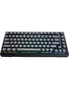 Comprar Ducky Tinker75 75% RGB Black MX  Speed Silver (ES)