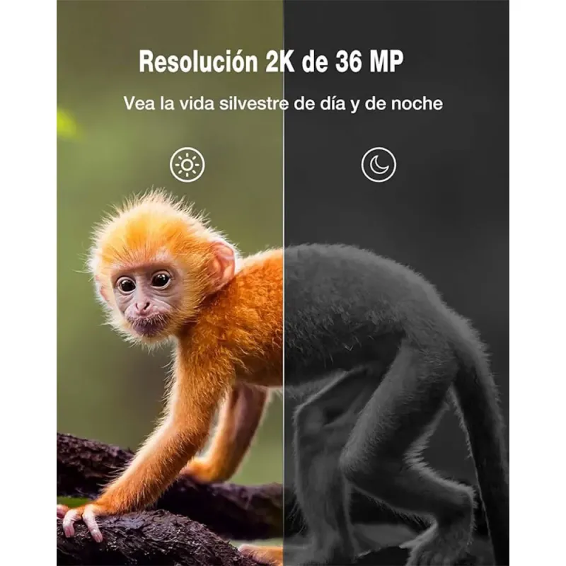 Comprar WOLFANG Cámara de Caza