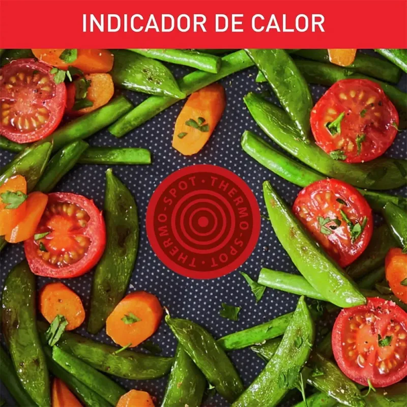 Tefal Duetto Juego de Sartenes 20/24/28 cm Acero Inoxidable Inducción