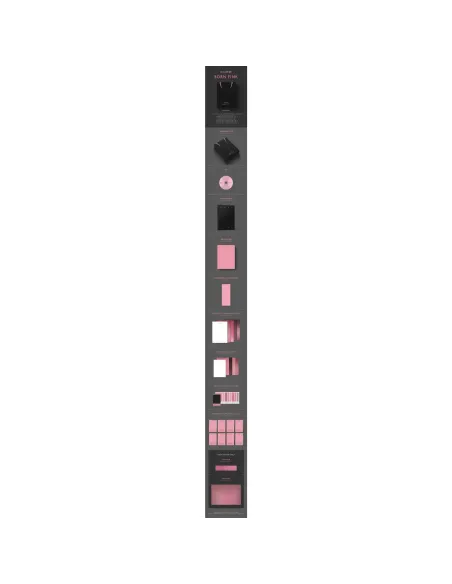 Álbum BLACKPINK BORN PINK Box Set K-Pop Original